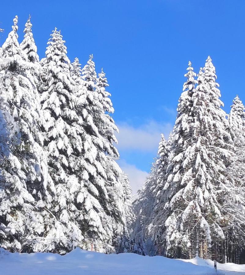 Ferienwohnung Vogelnest Im Schwarzwald Baiersbronn Esterno foto