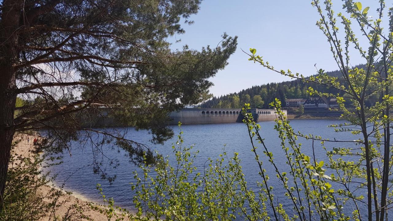 Ferienwohnung Vogelnest Im Schwarzwald Baiersbronn Esterno foto