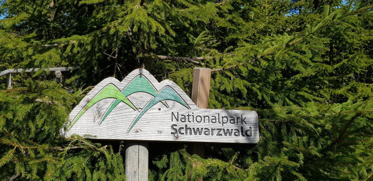Ferienwohnung Vogelnest Im Schwarzwald Baiersbronn Esterno foto
