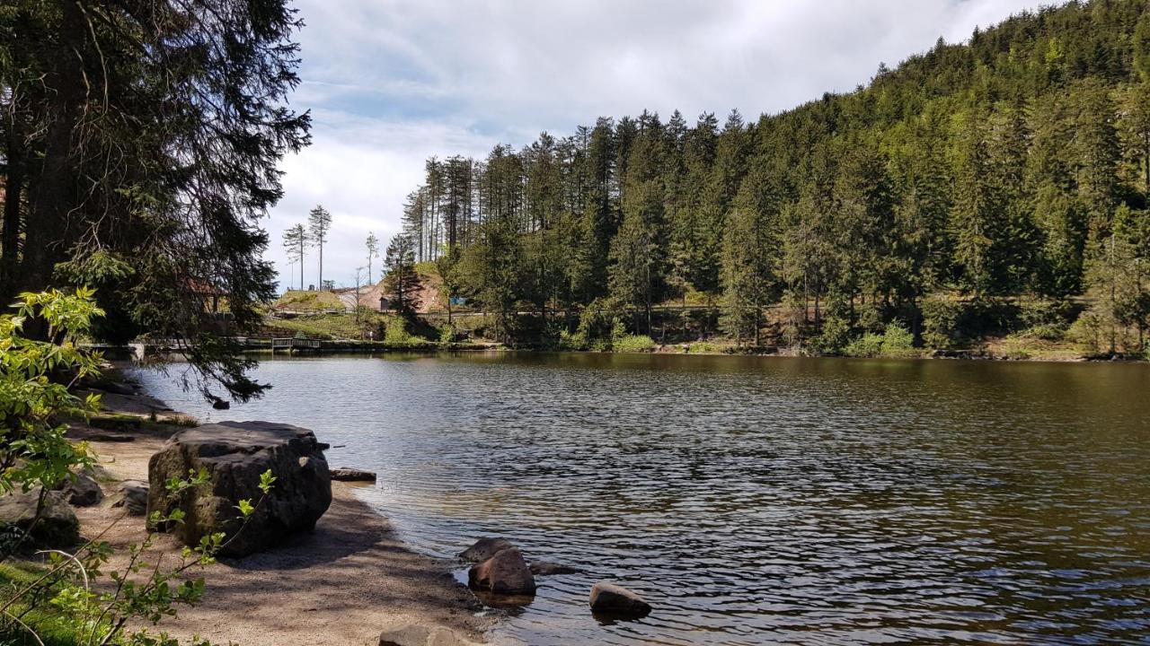 Ferienwohnung Vogelnest Im Schwarzwald Baiersbronn Esterno foto