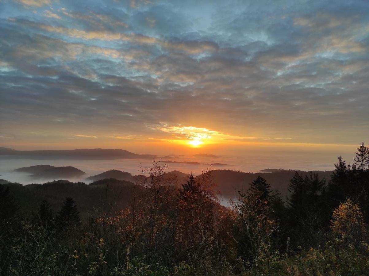 Ferienwohnung Vogelnest Im Schwarzwald Baiersbronn Esterno foto