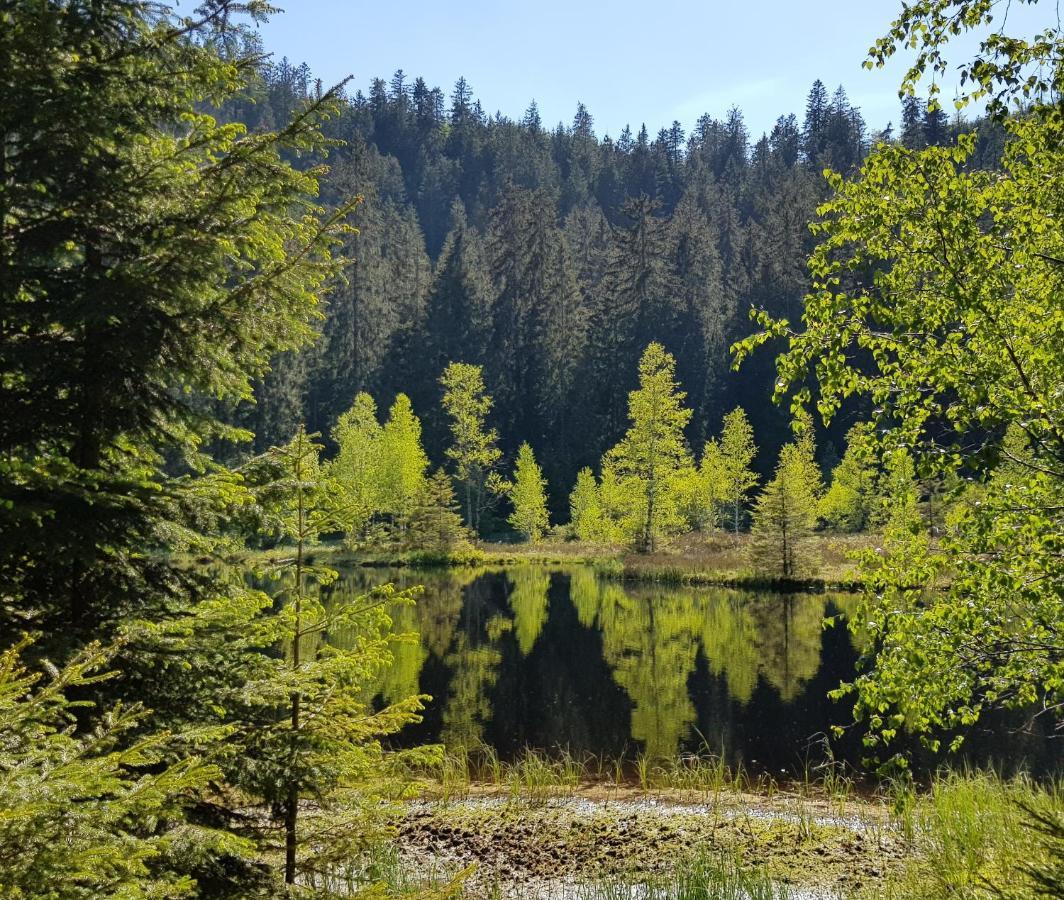 Ferienwohnung Vogelnest Im Schwarzwald Baiersbronn Esterno foto