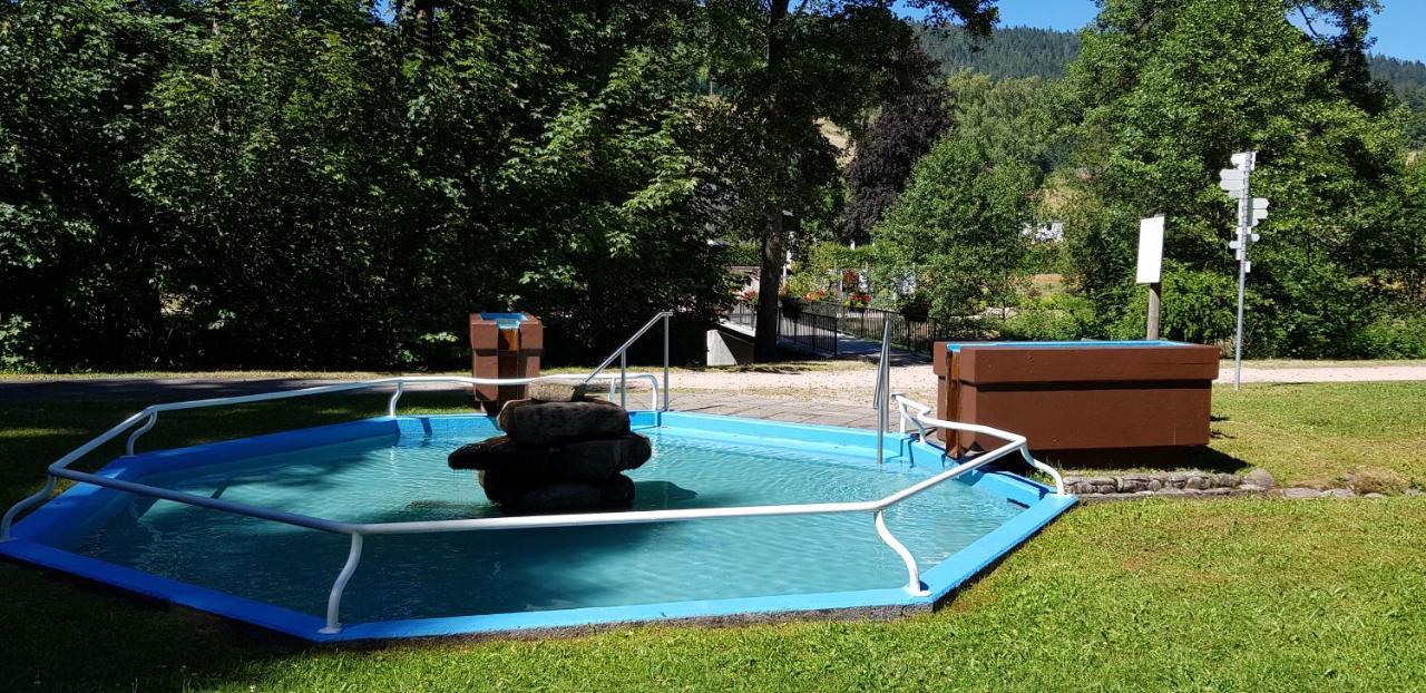 Ferienwohnung Vogelnest Im Schwarzwald Baiersbronn Esterno foto