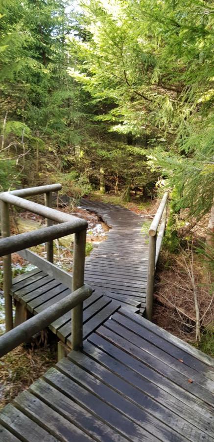 Ferienwohnung Vogelnest Im Schwarzwald Baiersbronn Esterno foto