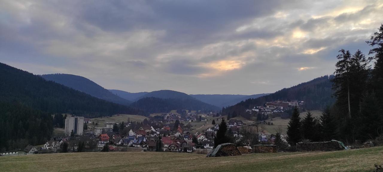 Ferienwohnung Vogelnest Im Schwarzwald Baiersbronn Esterno foto