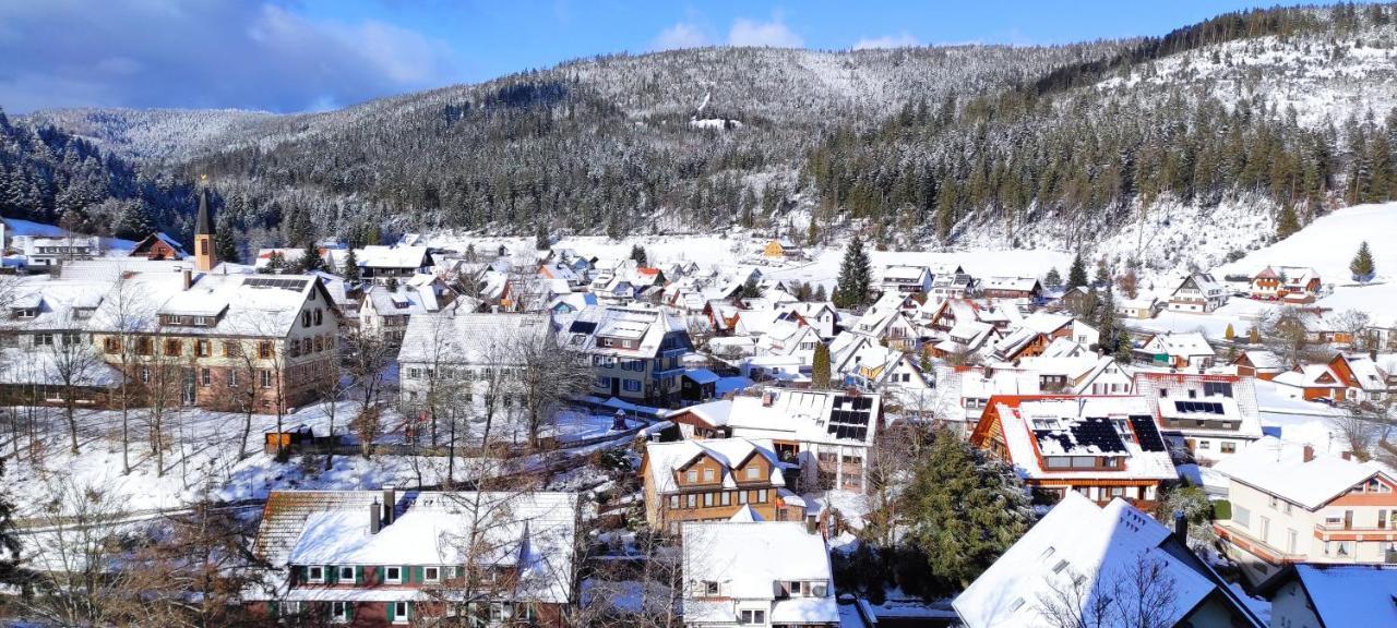 Ferienwohnung Vogelnest Im Schwarzwald Baiersbronn Esterno foto